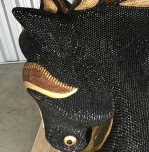 cocaine nieuw zeeland paardenhoofd